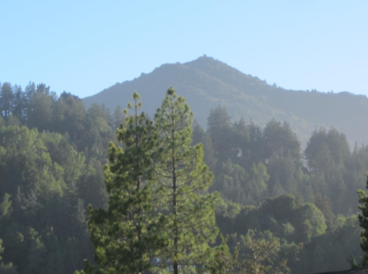 Mt. Tam